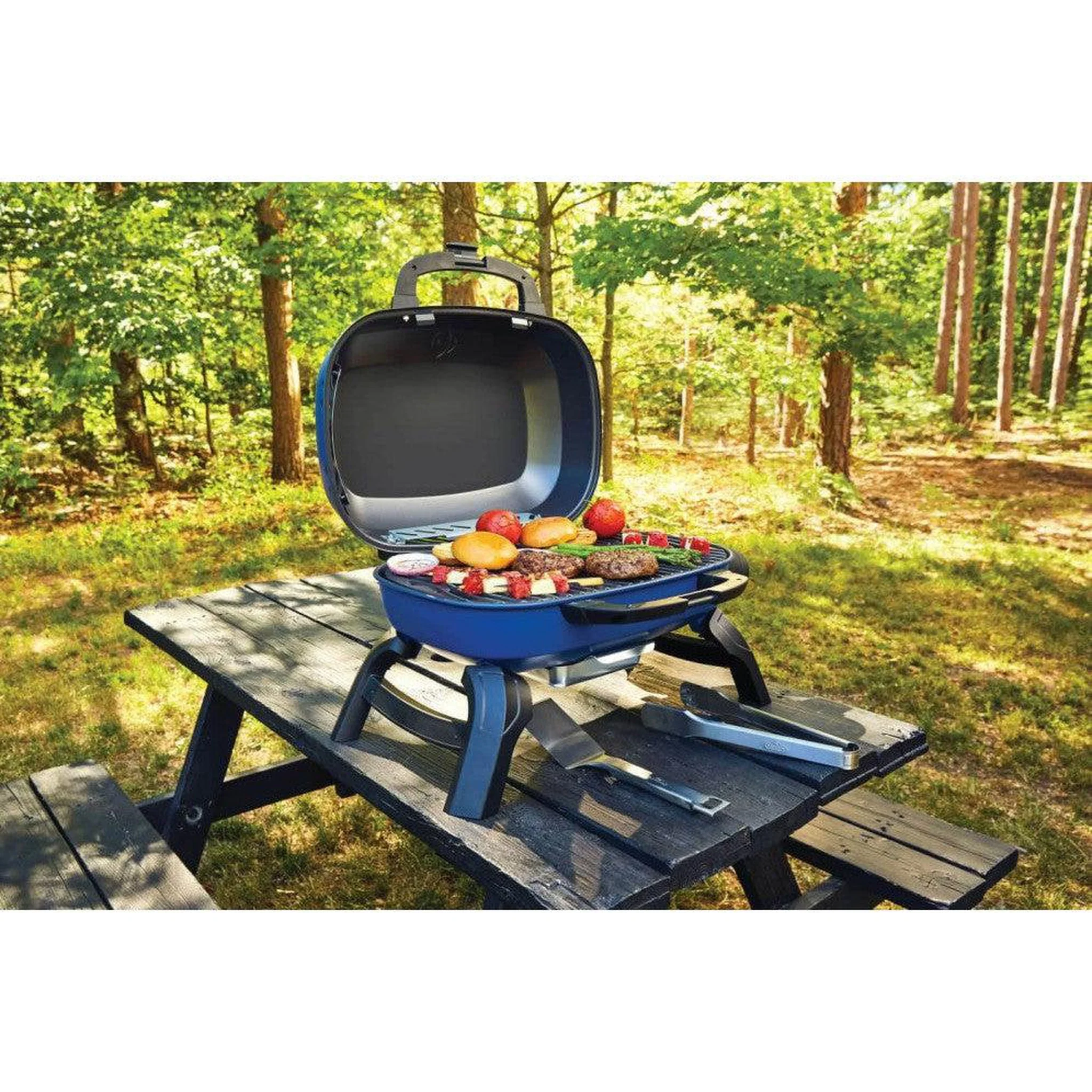 Napoleon TravelQ 240 Blue Portable Propane Gas Grill - Image 16