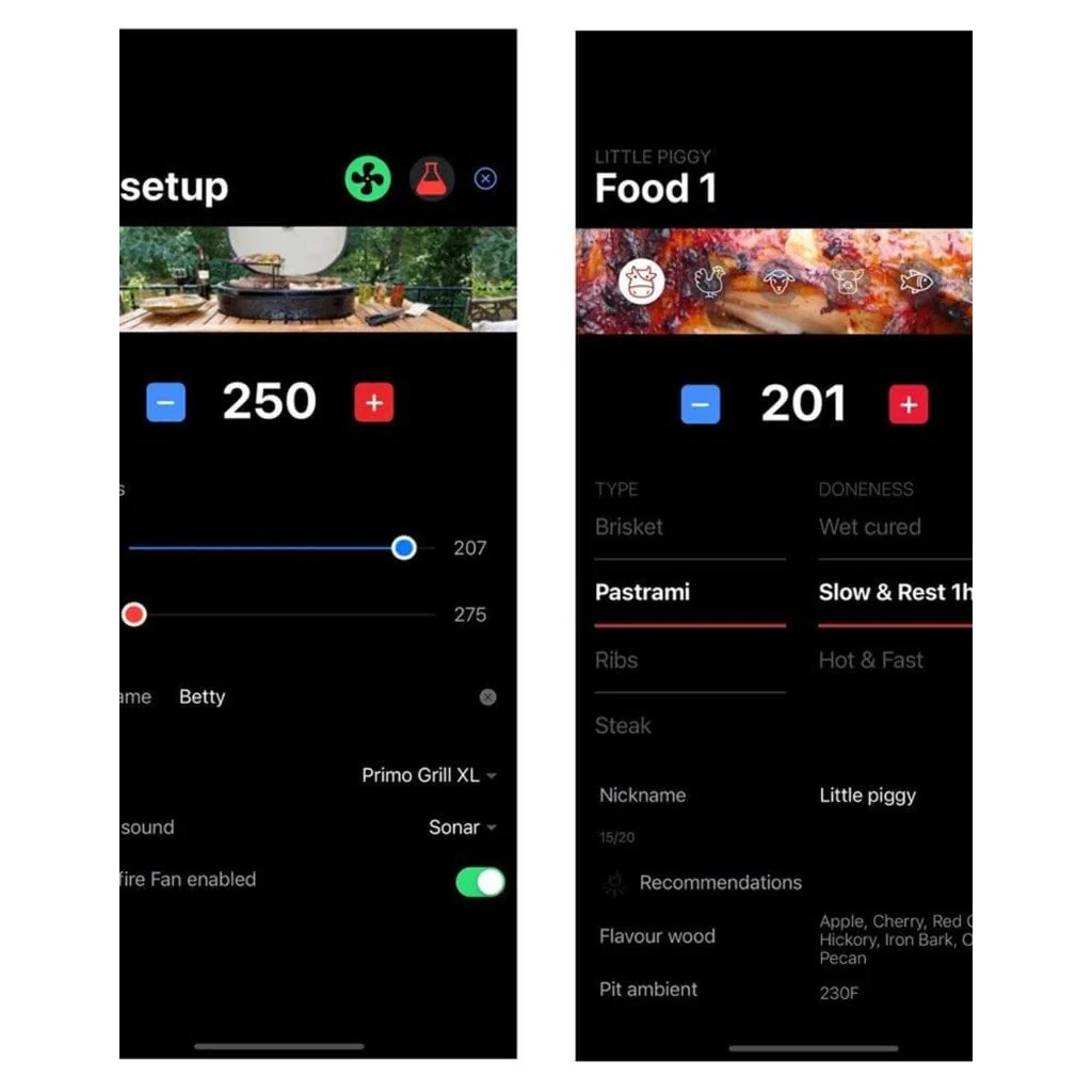 Primo Grill Controller - Image 2
